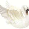Cigno