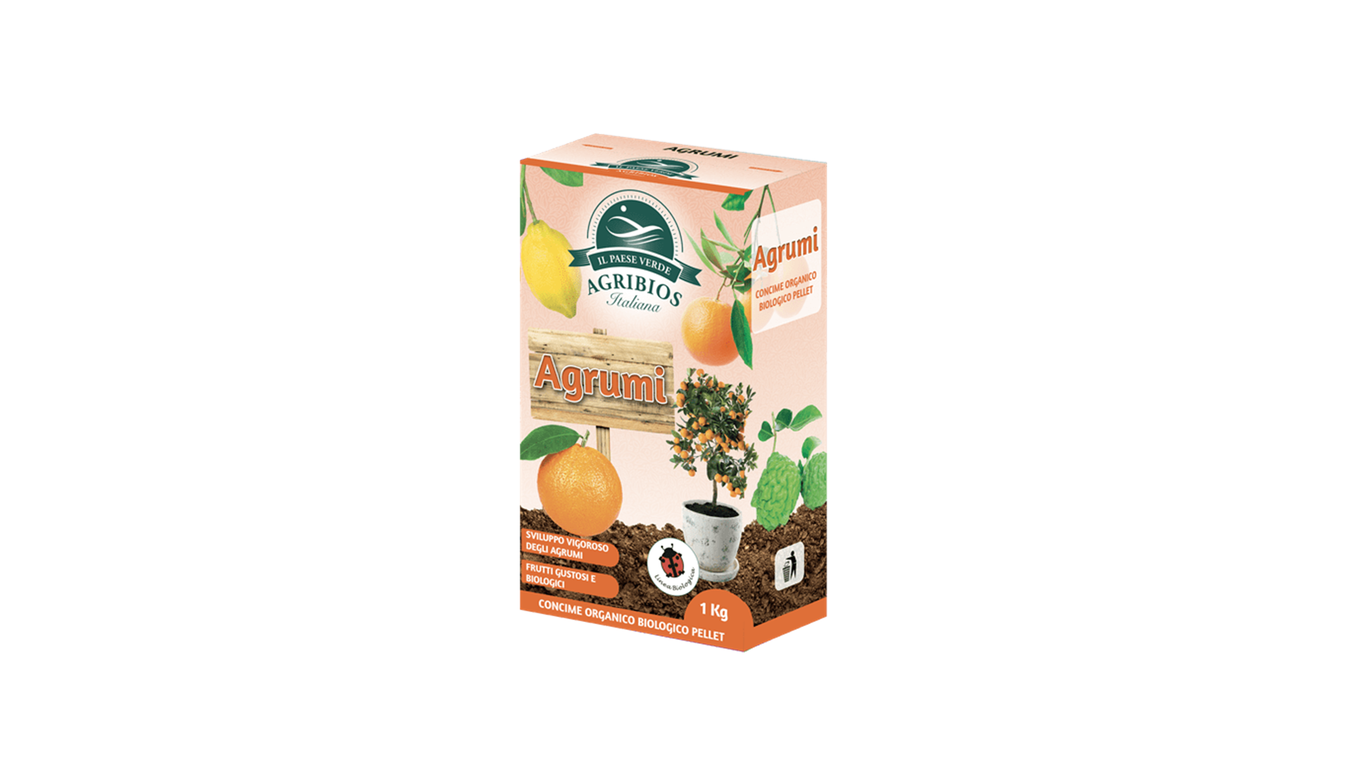 Agrumi bio kg.1