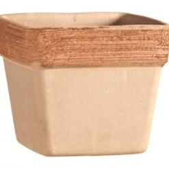 Vaso quadro graffiato cm.17