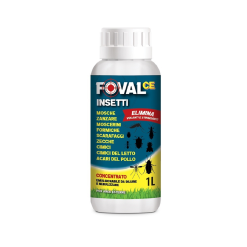 Foval CE lt.1