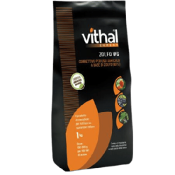 Vithal Expert Zolfo WG kg.1