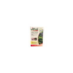 Vithal Piralide del bosso gr.10