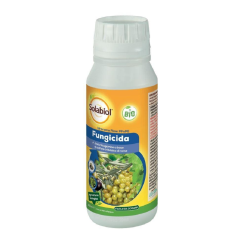 Idrorame Flow PfnPe ml.500