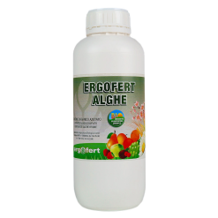 Ergofert Alghe kg.1