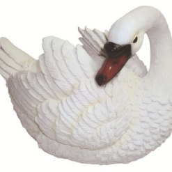 Cigno portavaso