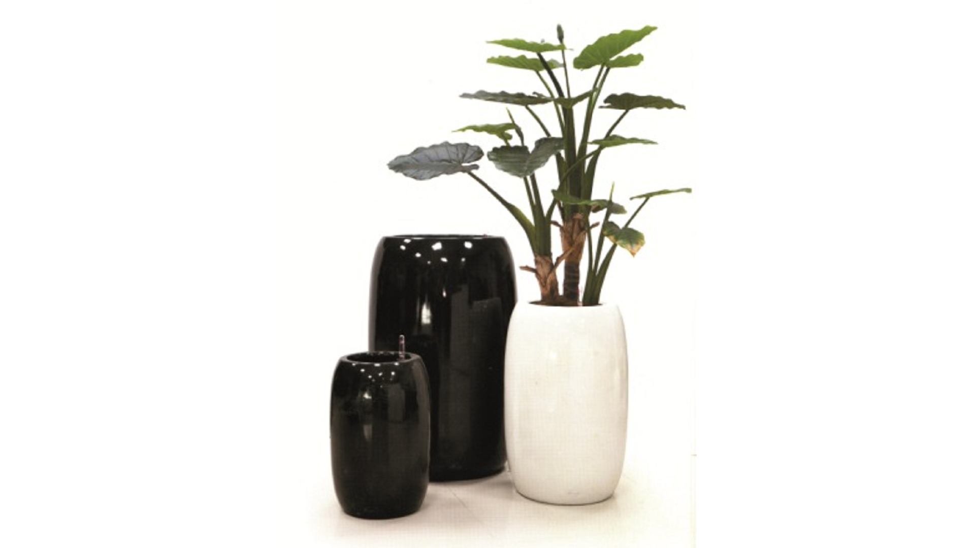 Vaso Drops c/riserva acqua cm.31x46 Black